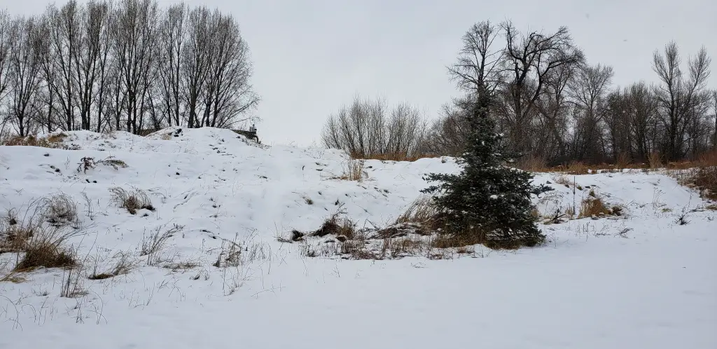 Eagle Park - Camp, Hike, Mountain Bike, and Sled near Rexburg, Idaho ...