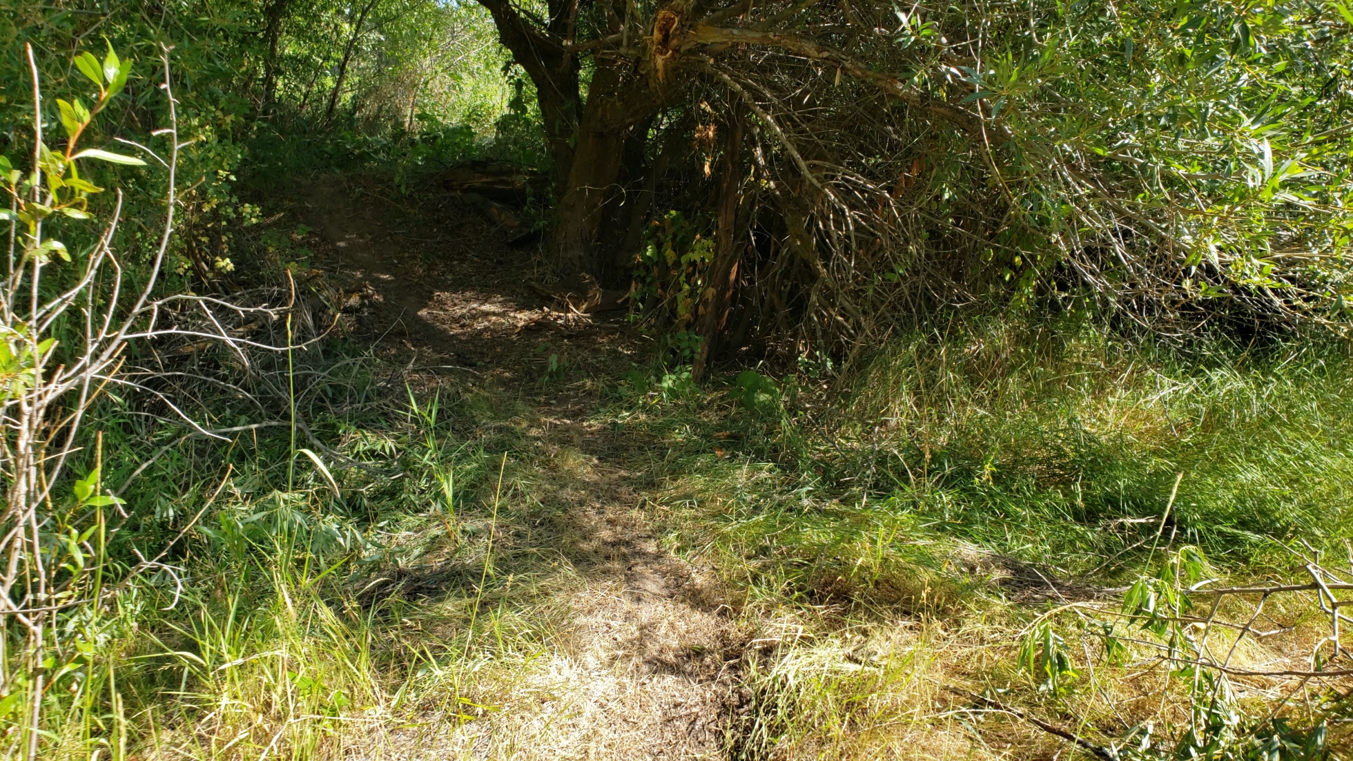 Eagle Park - Camp, Hike, Mountain Bike, and Sled near Rexburg, Idaho ...