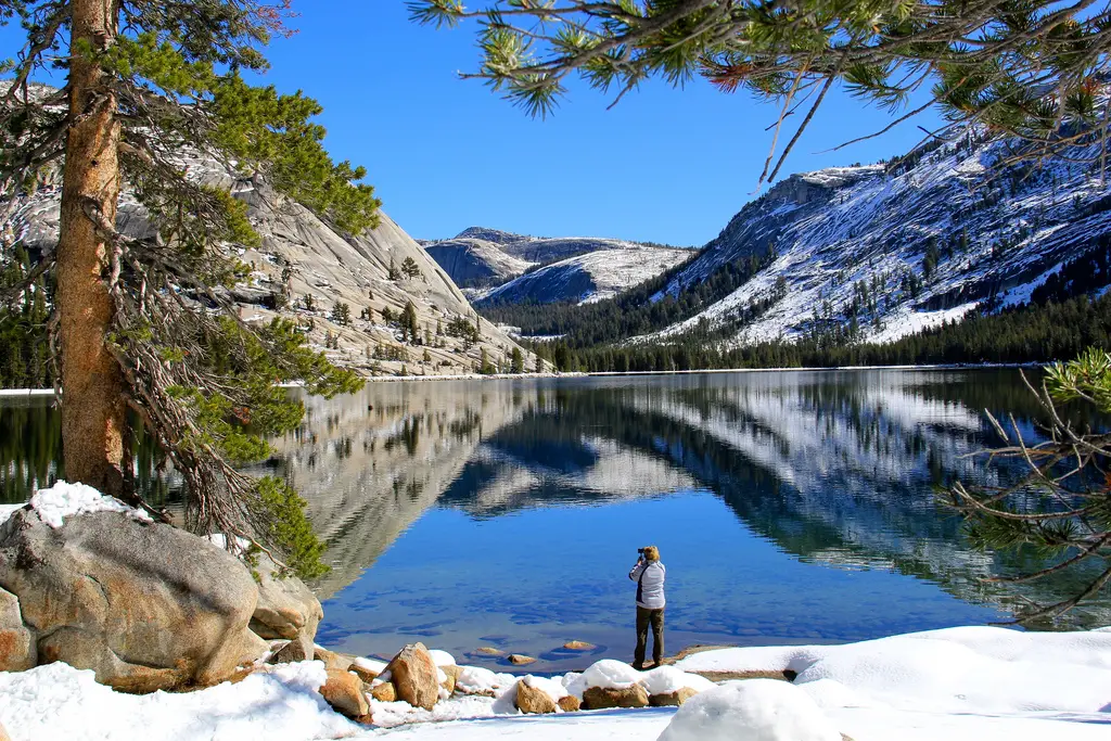 Tenaya Lake Canoe, Hike, Kayak, and Swim near Yosemite Valley