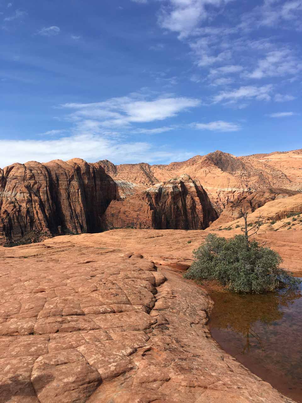 Snow Canyon State Park - Cave, Hike, Mountain Bike, and ...