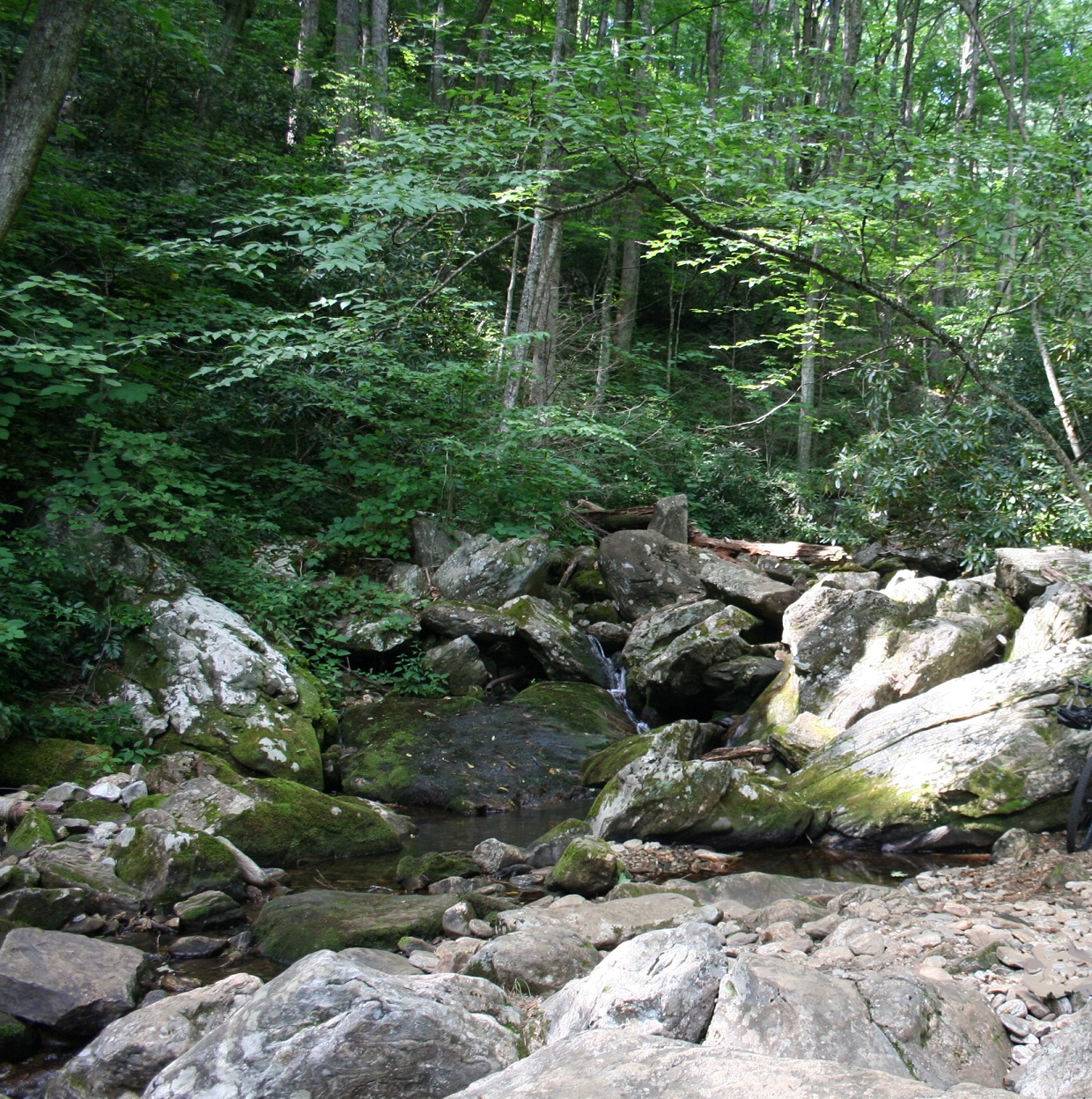 Farlow Gap - Hike and Mountain Bike near Canton, North Carolina - Free ...