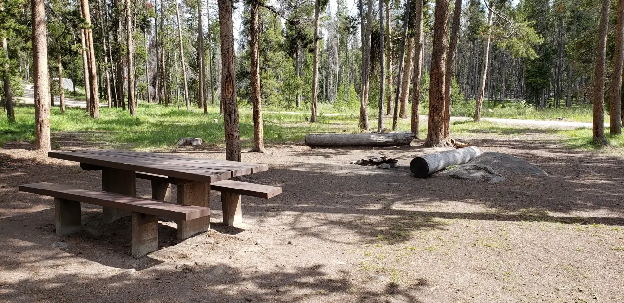 Escape To The Wild: A Guide To Montana’s Pintler Campground