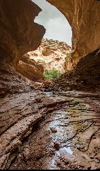 Mee Canyon Alcove courtesy of Glenn Merritt↗