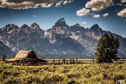 Grand Teton from Mormon Row courtesy of mzagerp↗