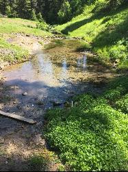 This is a fresh-water spring where you can get cold clean water. And some pools to soak in when it i courtesy of Victor Walker↗