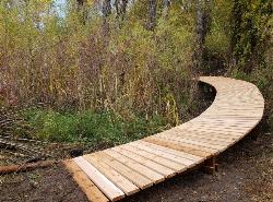 Free Arenas Bridge on Tenderfoot Trail courtesy of endovereric↗