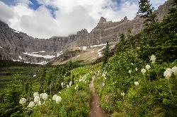 Iceberg Lake Trail by David Restivo