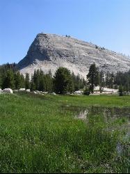 Lembert Dome in Tuolumne Meadow courtesy of Ken Lund↗