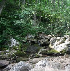 Pisgah National Forest Creek Running Across Farlow Gap Trail1 courtesy of LithiumFlash↗