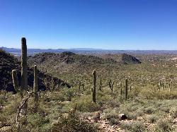 Inspiration Point view courtesy of Jonathan Flash↗