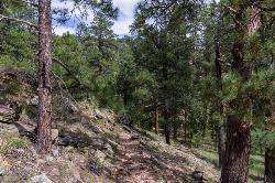 Kinder Crossing Trail courtesy of Deborah Lee Soltesz; U.S. Forest Service, Coconino National Forest↗