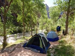 Tents at Bright Angel campground courtesy of Grand Canyon Association↗