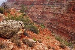 Hermit Trail Grand Canyon courtesy of Grand Canyon National Park: Supai Group 0789↗