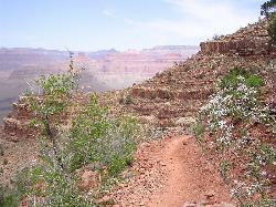 The Grand Canyon Hermit Trail courtesy of Notary137↗