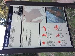 Widforss Trail Information Board at Trailhead added by nicole97