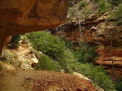 Cliff Spring Trail  courtesy of Miguel Hermoso Cuesta↗