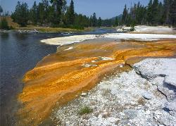 Firehole River Algae added by gnau