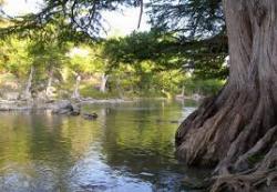 Guadalupe River State Park 2 added by tasiawhicker