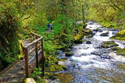 Along Sweet Creek Trail courtesy of Rick Obst↗