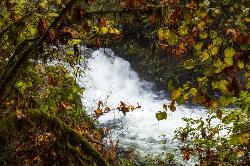 Sweet Creek Waterfalls Oregon courtesy of Bonnie Moreland↗