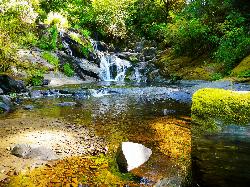 Beaver Creek Falls courtesy of Rick Obst↗