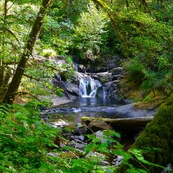 Beaver Creek Falls courtesy of Rick Obst↗