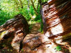 Beaver Creek Trail South Of Mapleton Oregon courtesy of Rick Obst↗