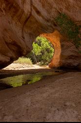 Arch cut by the Escalante River 