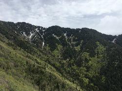 Mount Olympus from the Desolation Trail by Tyler Burgener