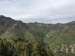 Millcreek Canyon from Desolation trail by Tyler Burgener