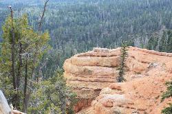 View from Cascade Falls Trail courtesy of Ken Lund↗