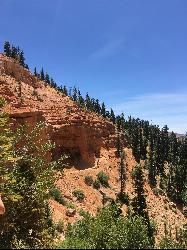 View along the Cascade Falls Trail by Tyler Burgener