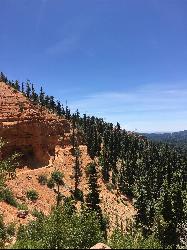 Another view along the Cascade Falls Trail by Tyler Burgener