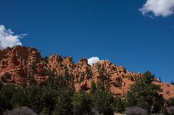 Dixie National Forest Utah 2271c6125b C courtesy of m01229↗