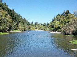 Russian River, looking upstream courtesy of Nick Doty↗