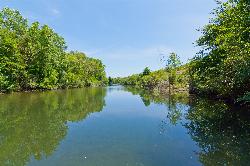 Russian River at Riverfront Regional Park 02 courtesy of harminder dhesi↗