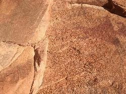 Anasazi Hieroglyphs along the Red Reef trail by Tyler Burgener