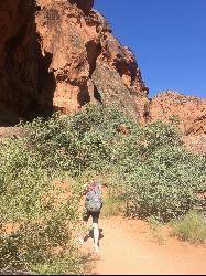 Hiking near the cliffs along the Red Reef trail by Tyler Burgener