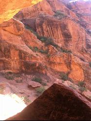 View of the Canyon from the small cave by Tyler Burgener