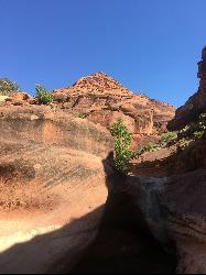 Small Slot Canyon along Red Reef trail by Tyler Burgener